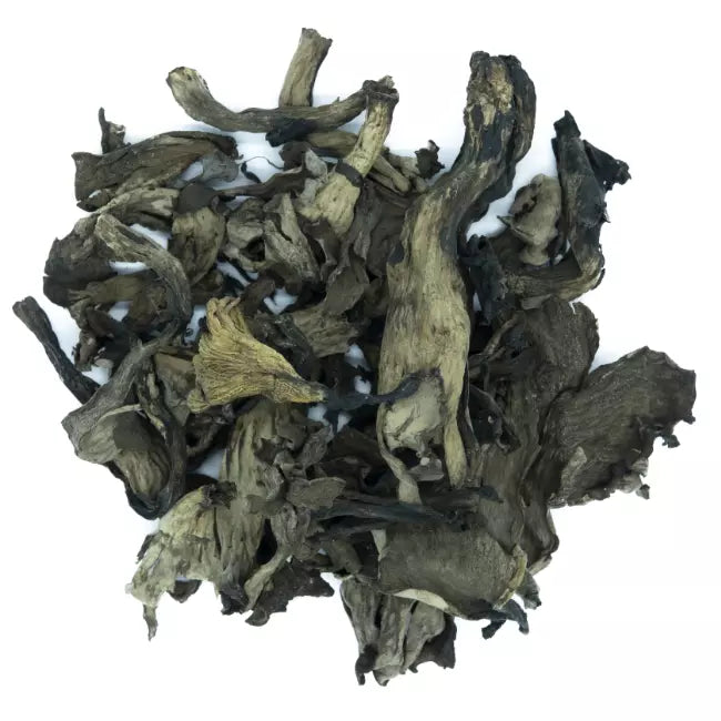 trompettes de la mort qualite extra